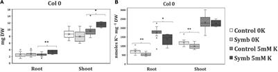 K+ Nutrition Exchange in the Serendipita-Arabidopsis Symbiosis: Study of the Fungal K+ Transporters Involved